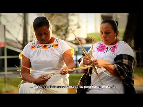 Ver video